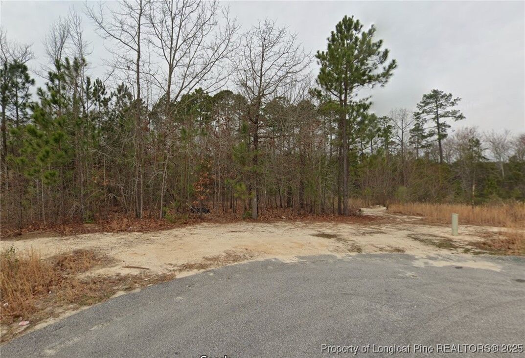 Property Photo:  90 Pedley Place  NC 28326 