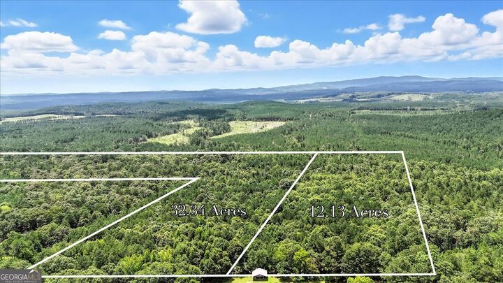 Property Photo: 0 George Road GA 30124