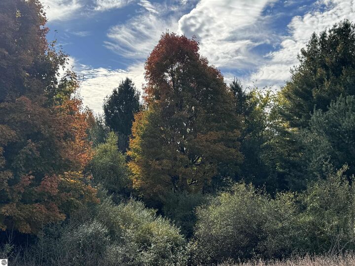 Property Photo: 1.6 Acres January Drive MI 49684