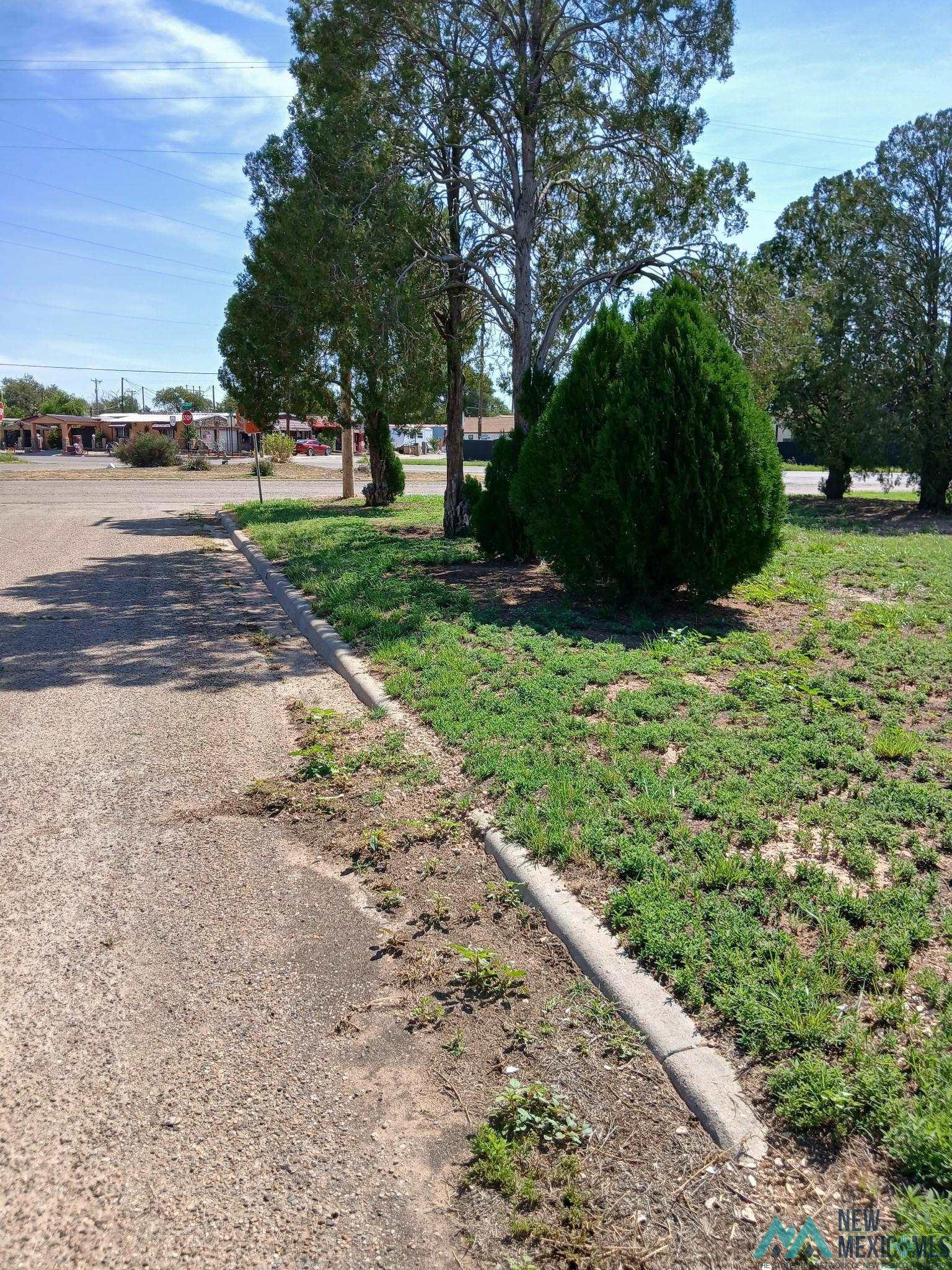 Property Photo:  413 N Main Street  NM 88130 