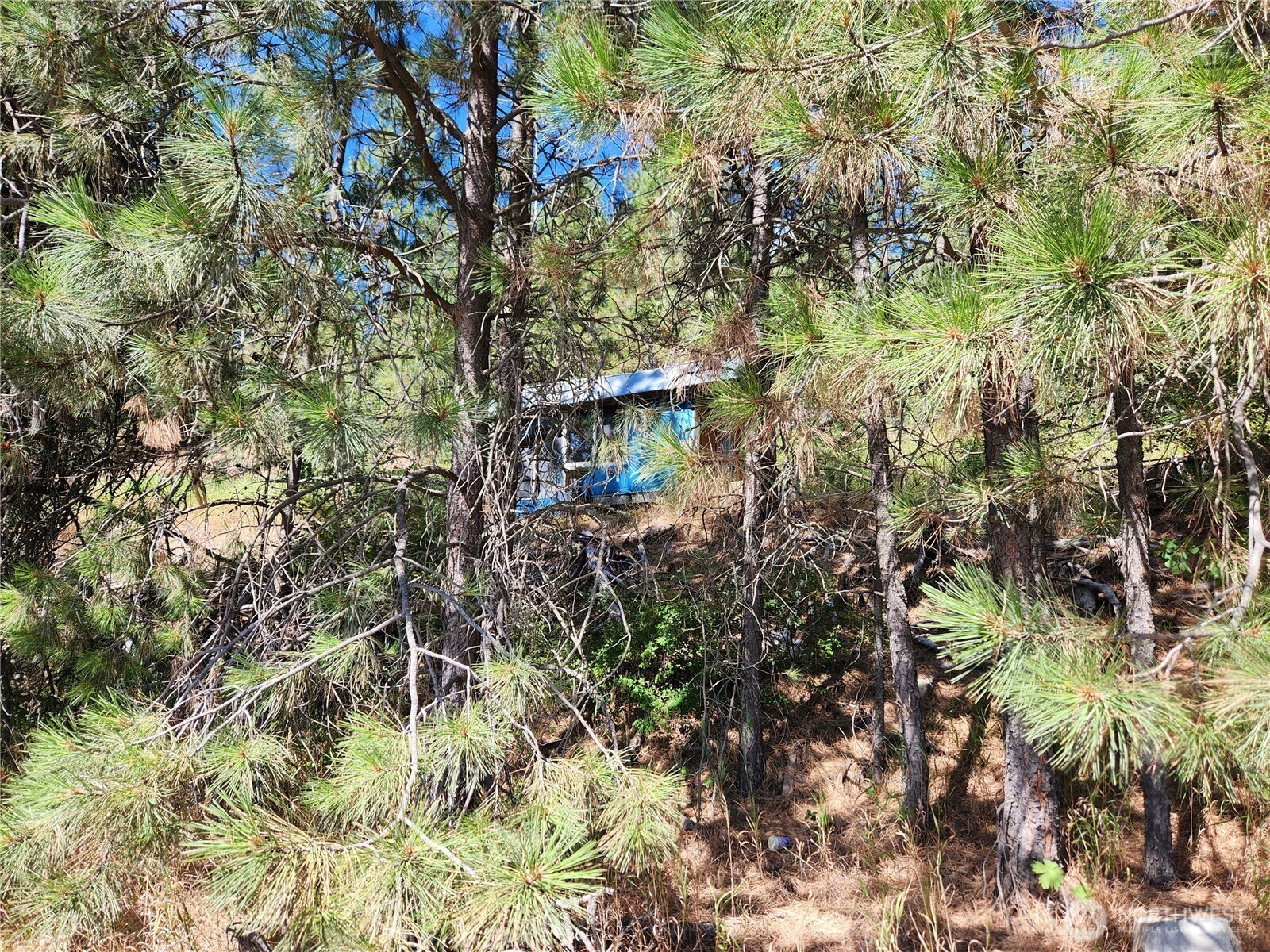 Property Photo:  0 Lot 1  Klondike Road  WA 99166 