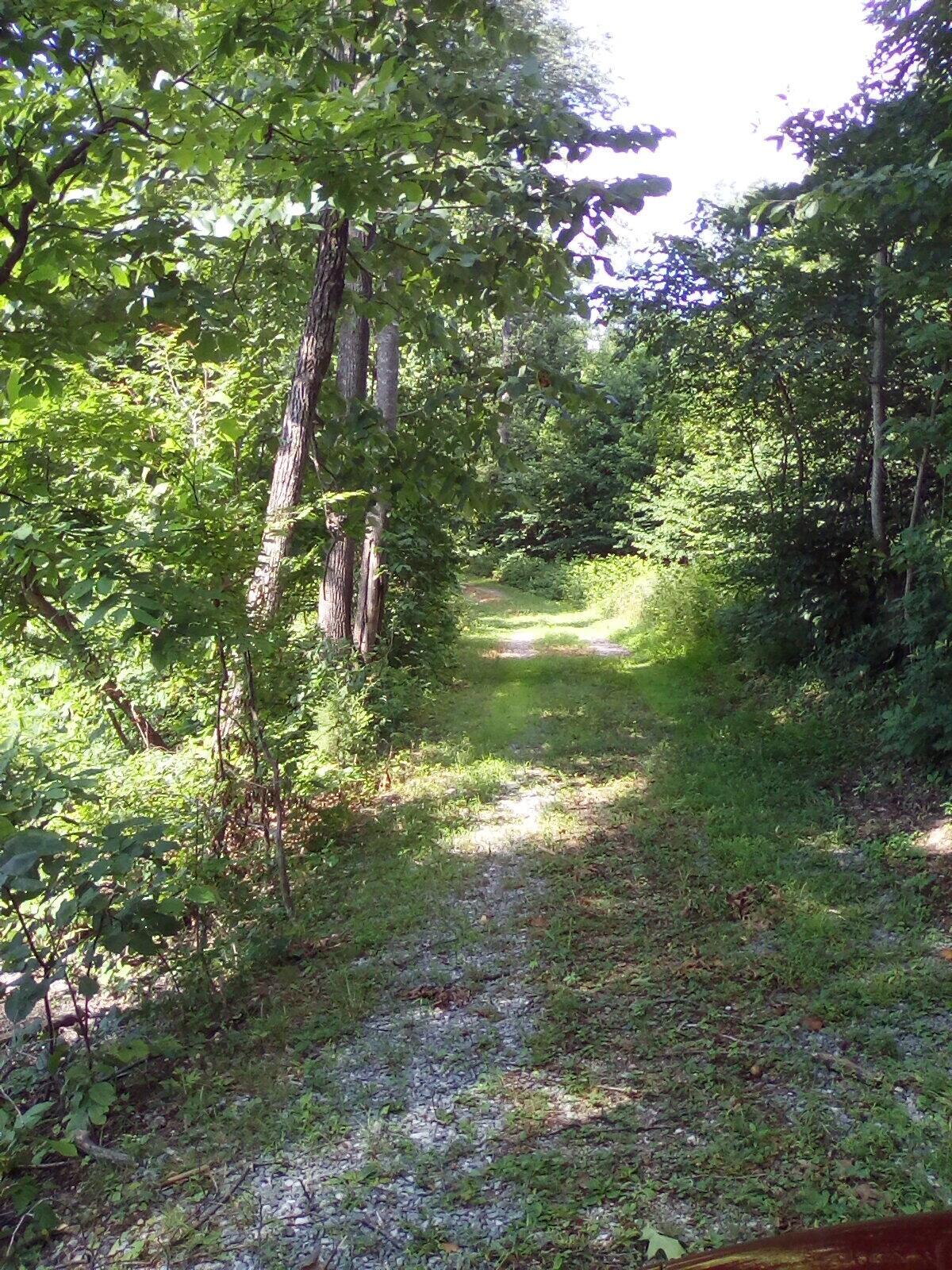 Property Photo:  555 Switzer Mountain Rd  VA 24090 
