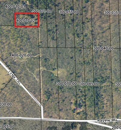 Property Photo: 6644 Lynx Trail MI 49735