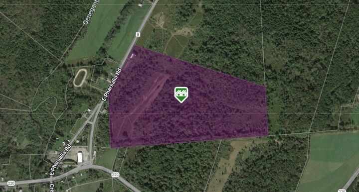 Property Photo:  164 County Road 8  NY 13801 