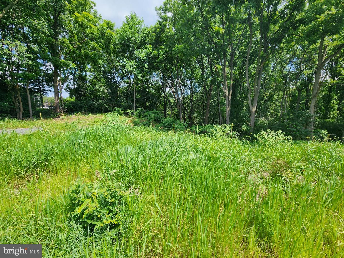 Property Photo: 0 Brownsville PA 19608