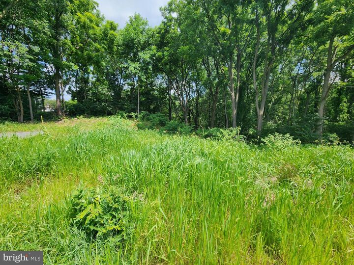 Property Photo:  0 Brownsville  PA 19608 