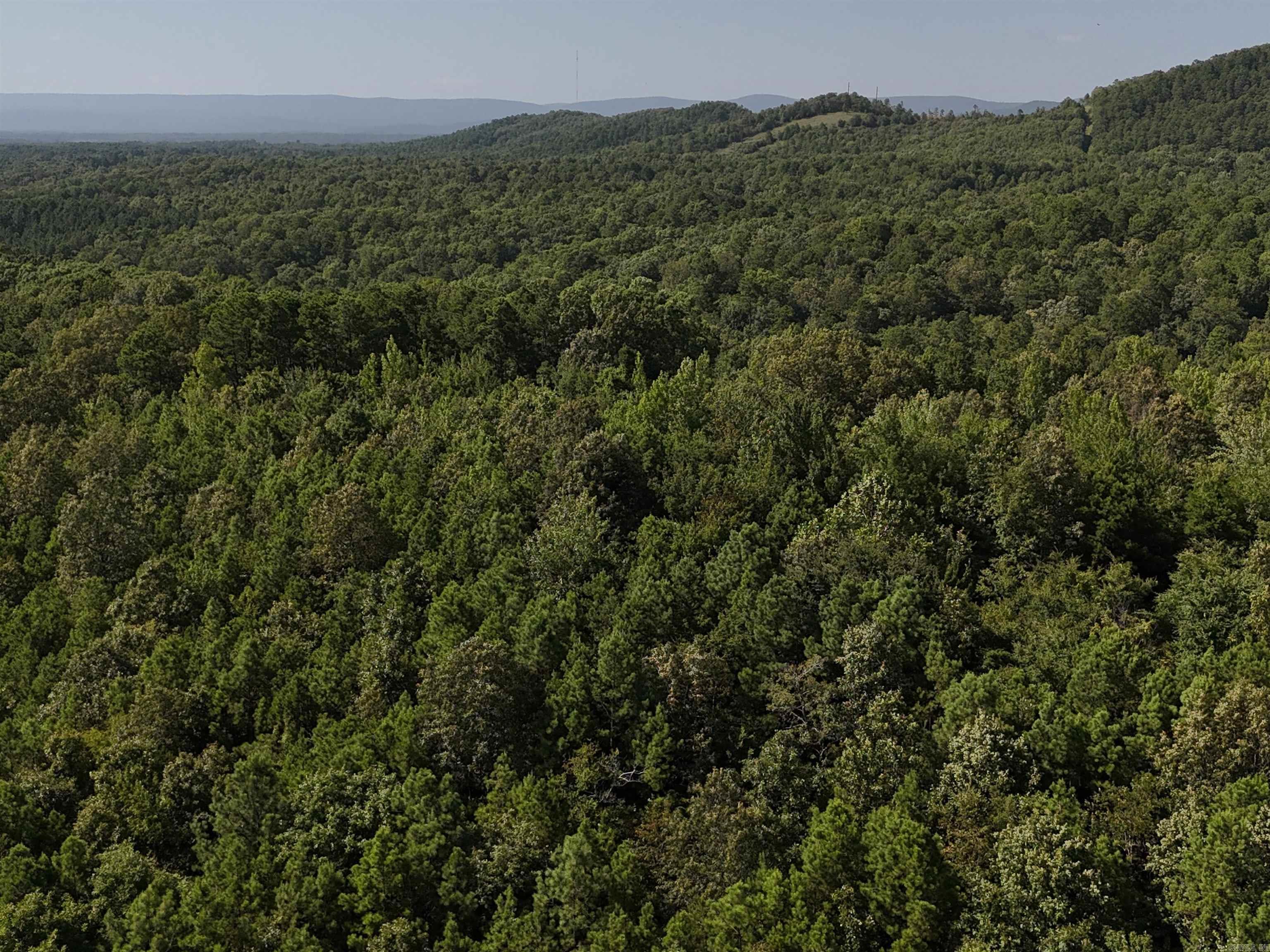 Property Photo:  Lot 1 Polk Road 78  AR 71953 
