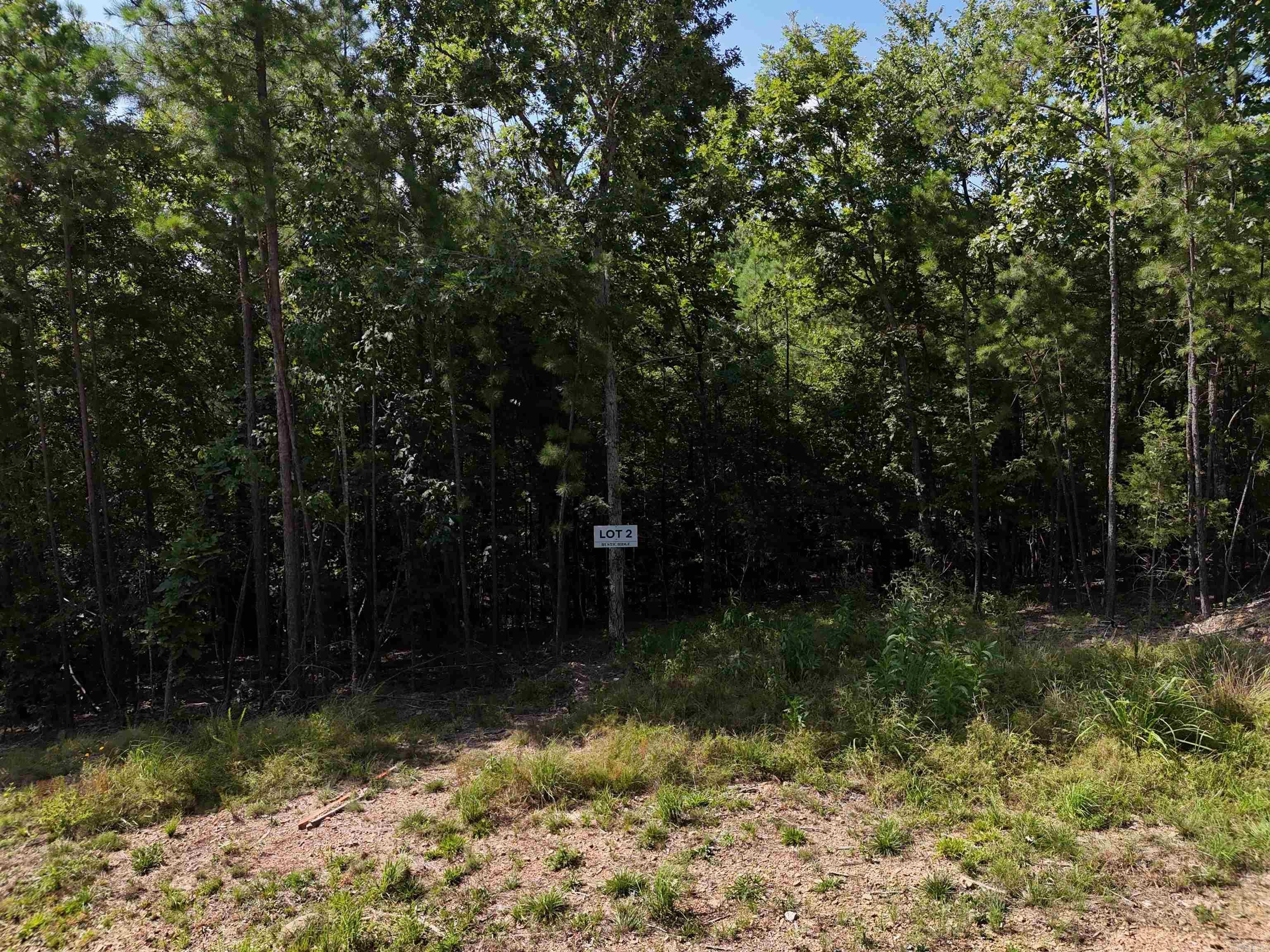 Property Photo:  Lot 2 Polk Road 78  AR 71953 