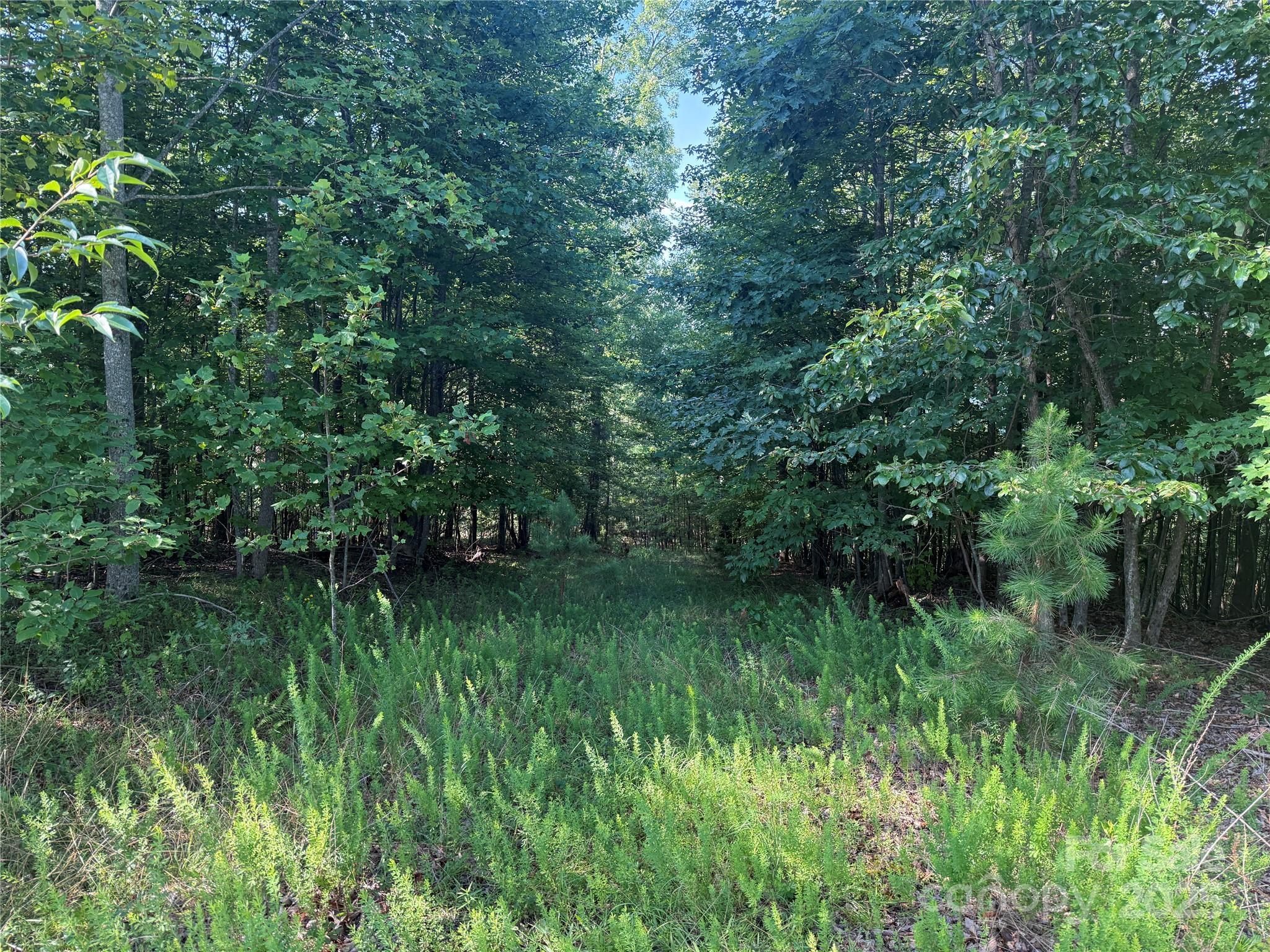 Property Photo: Lot 332 Scenic Vista Drive 332 NC 28761