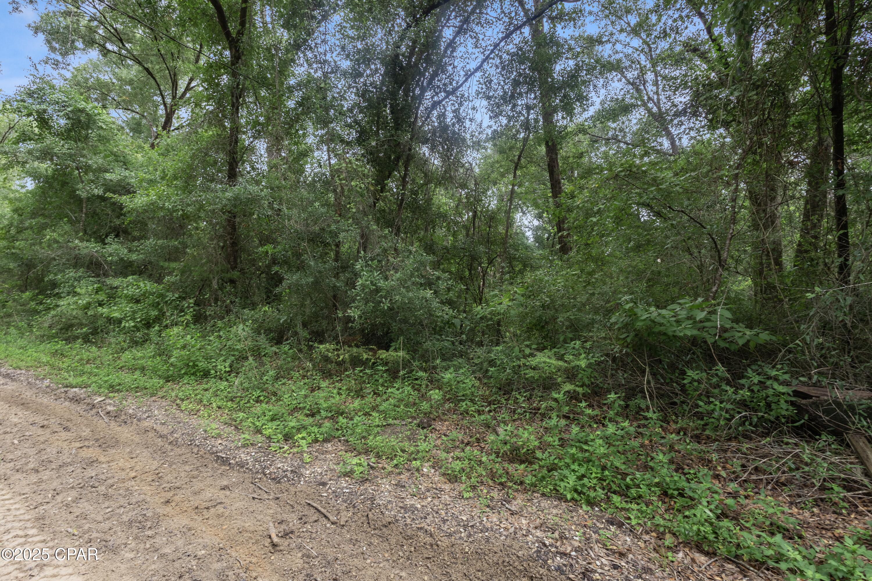 Property Photo:  Tba Wages Pond Road  FL 32428 