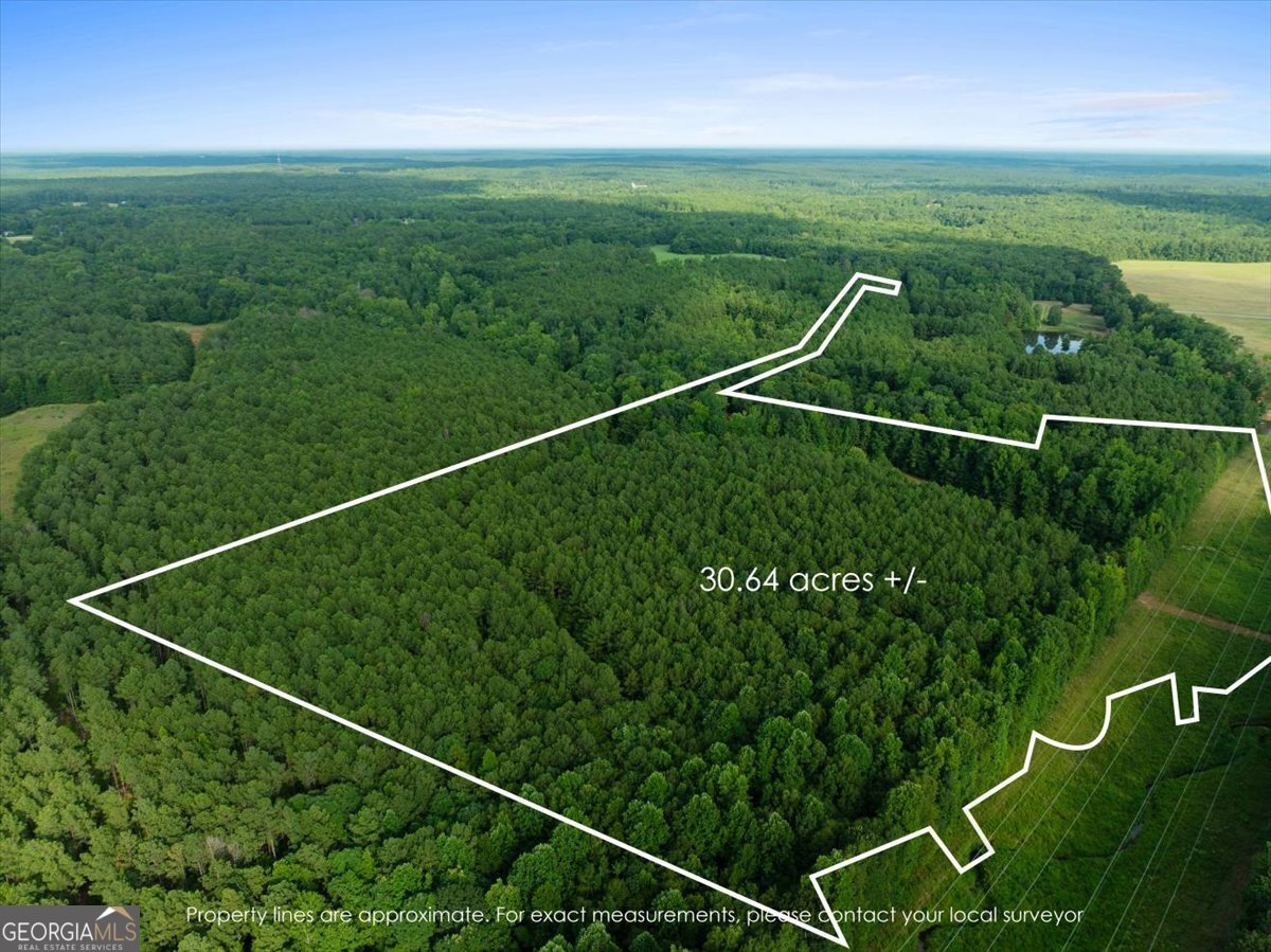 Property Photo: 0 Dickson Road GA 30663