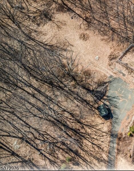 Property Photo:  385 Green Rd  NJ 07871