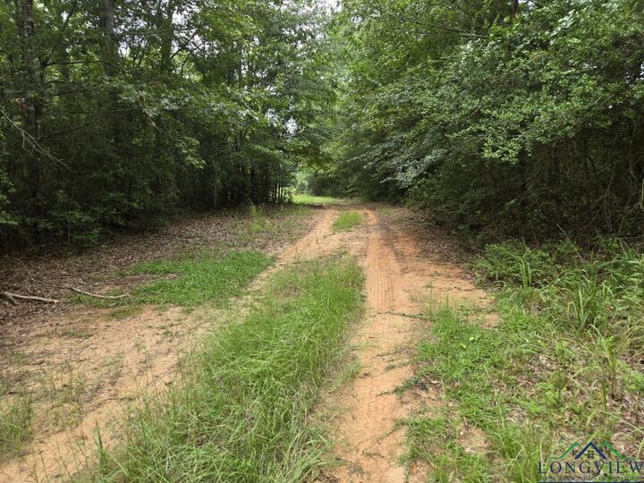 Property Photo:  5770 Cr 364 S  TX 75654 