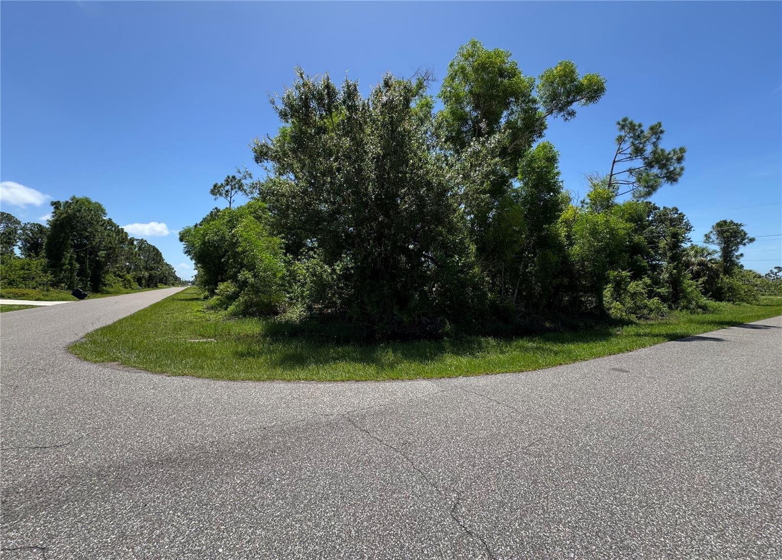 Property Photo: 12399 Deepwoods Avenue FL 33981