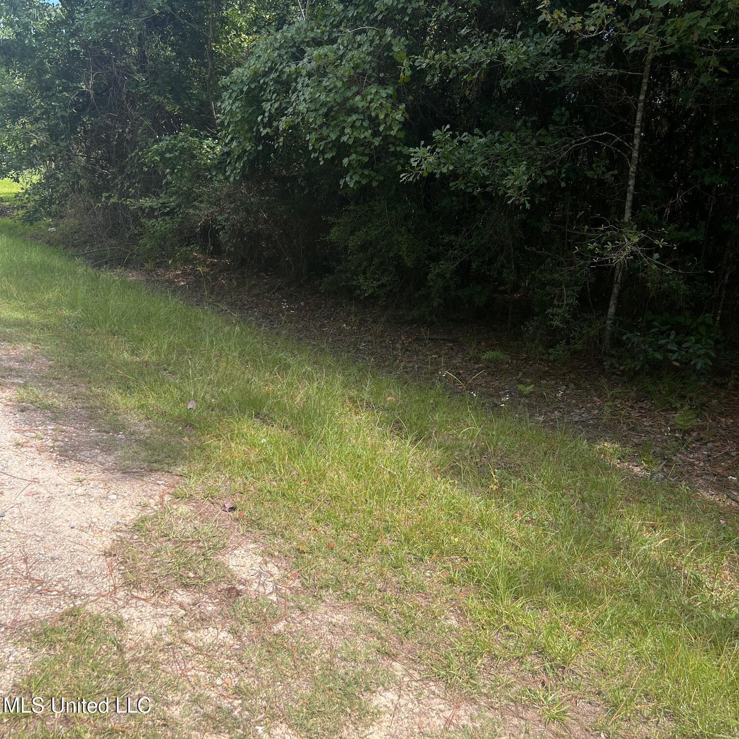 Property Photo: Lilac Street MS 39576