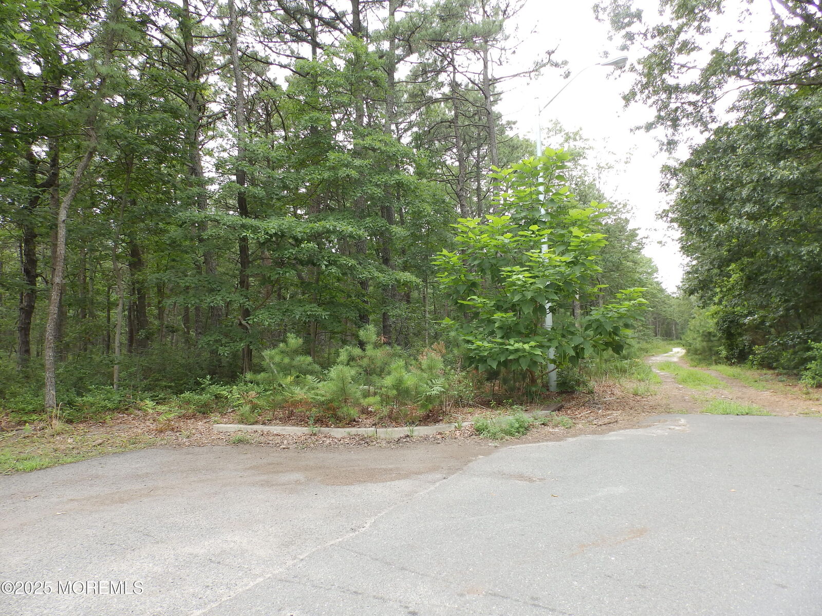 Photo de la propriété:  00 Harding Avenue  NJ 08721 