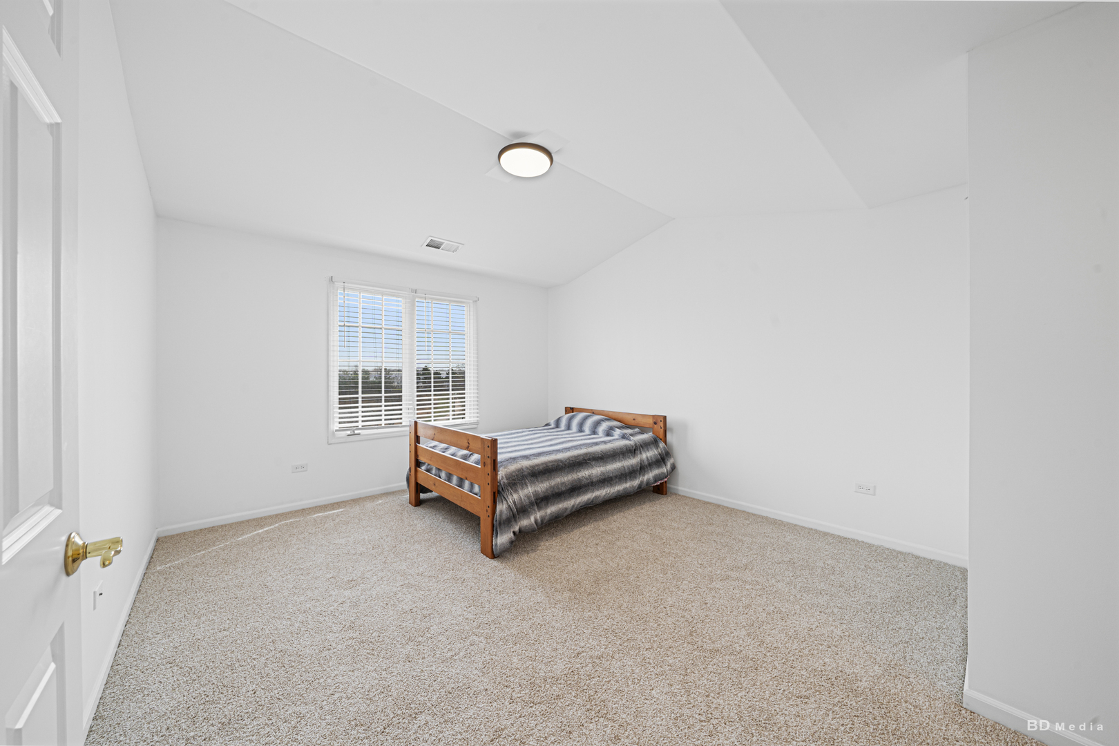 Property Photo:  10651 Gabrielle Lane  IL 60462 