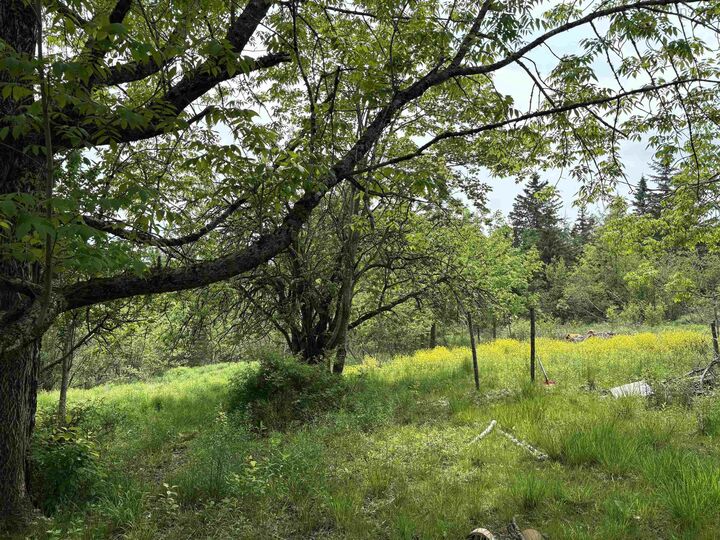 Property Photo: 14422 Hwy 224 Road NS B0N 2H0