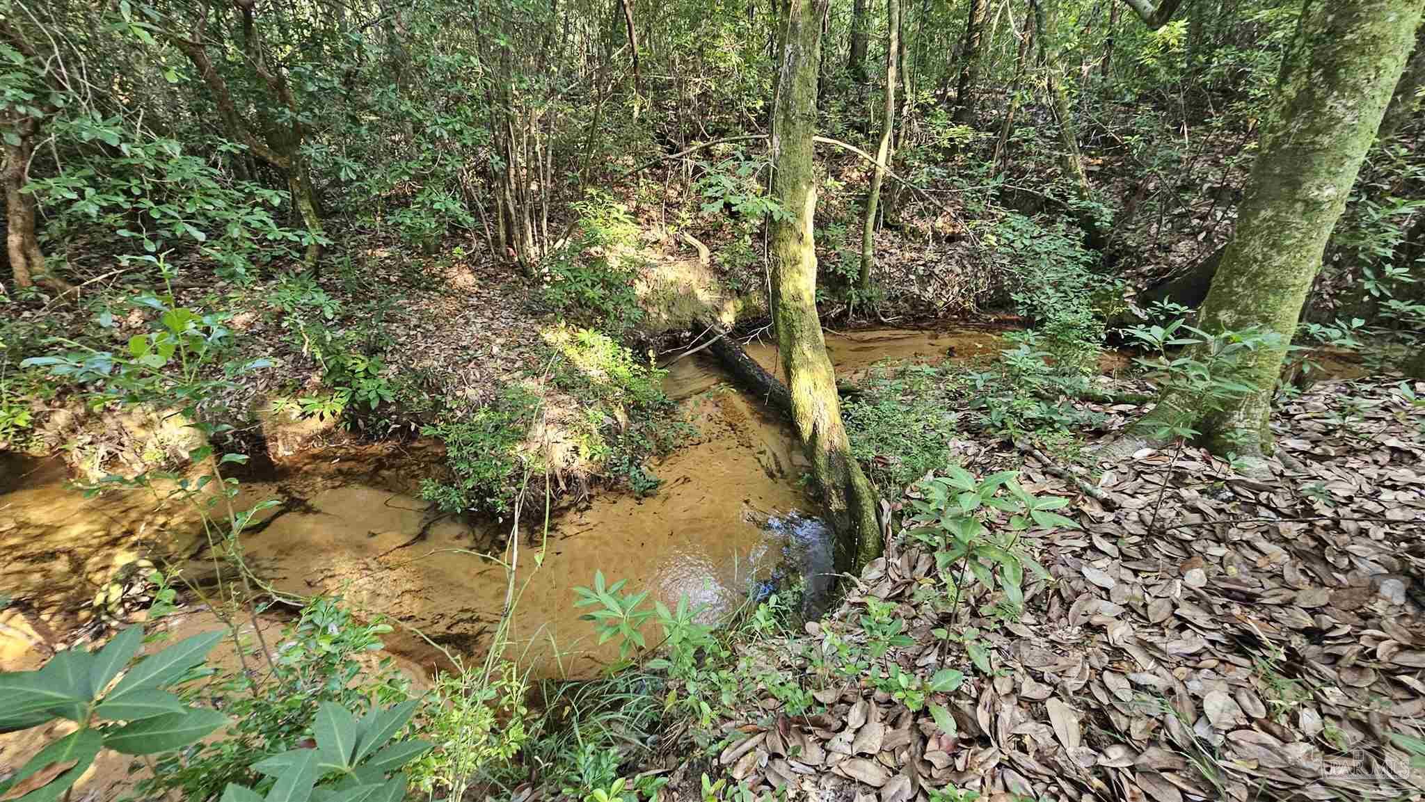 2561 Creek Chase Trl  Pace FL 32571 photo