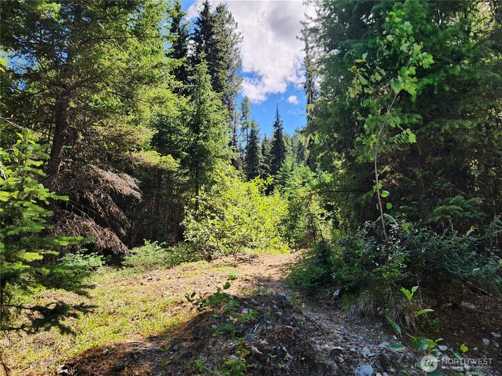 Property Photo: 0 Xx East Fork Cougar Creek Road WA 98859