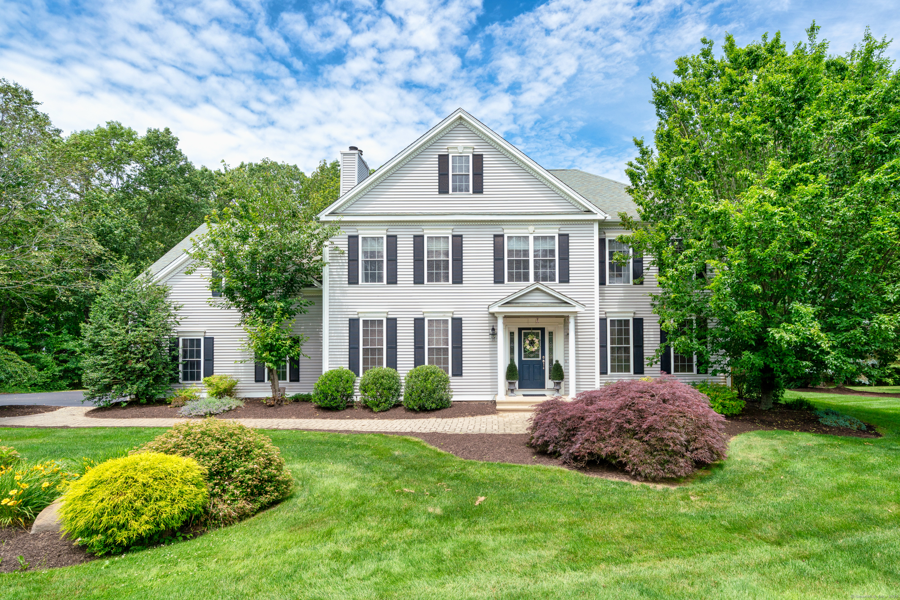 Property Photo:  45 Summersweet Drive  CT 06441 