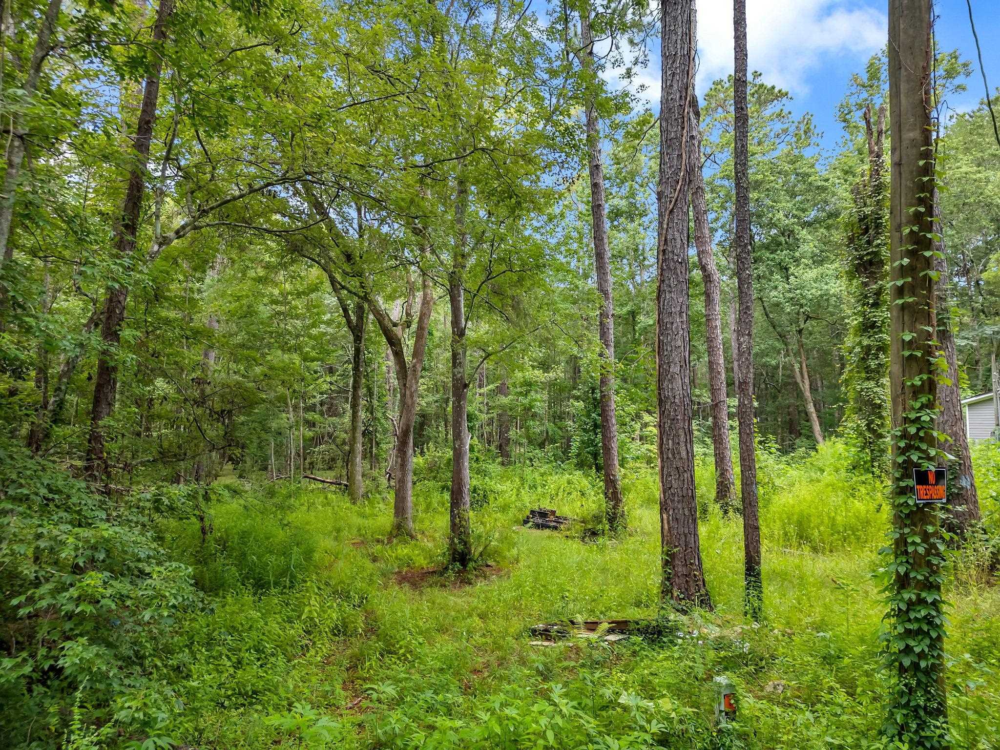 Property Photo:  Xxx Red Gum Road  FL 32304 