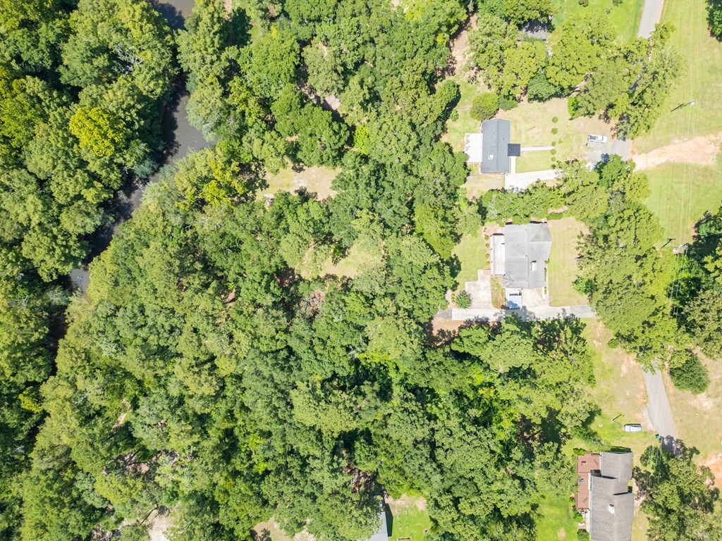 Property Photo: 183 Sandy Beach Road GA 31763