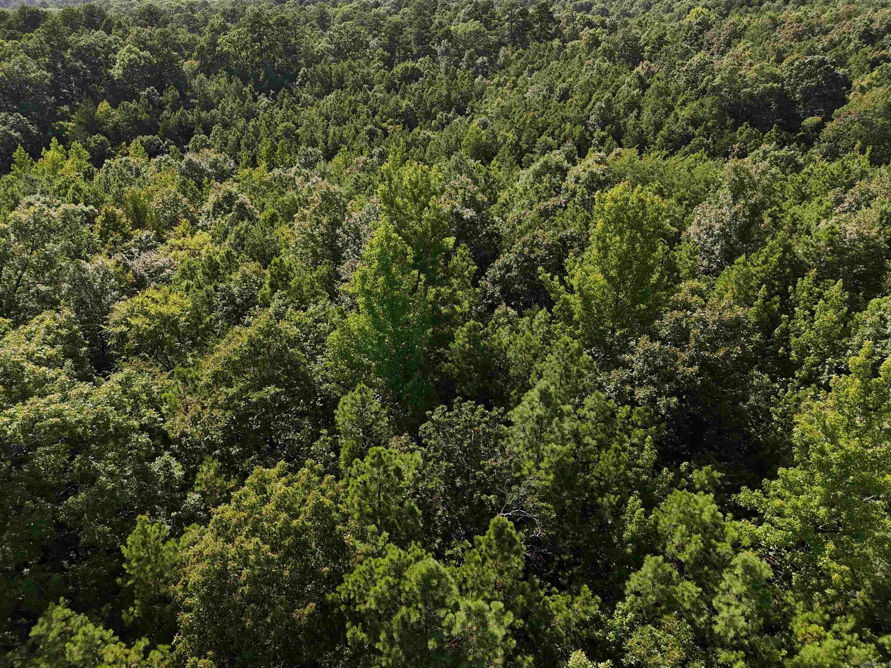 Property Photo:  Lot 18 Polk Road 78  AR 71953 