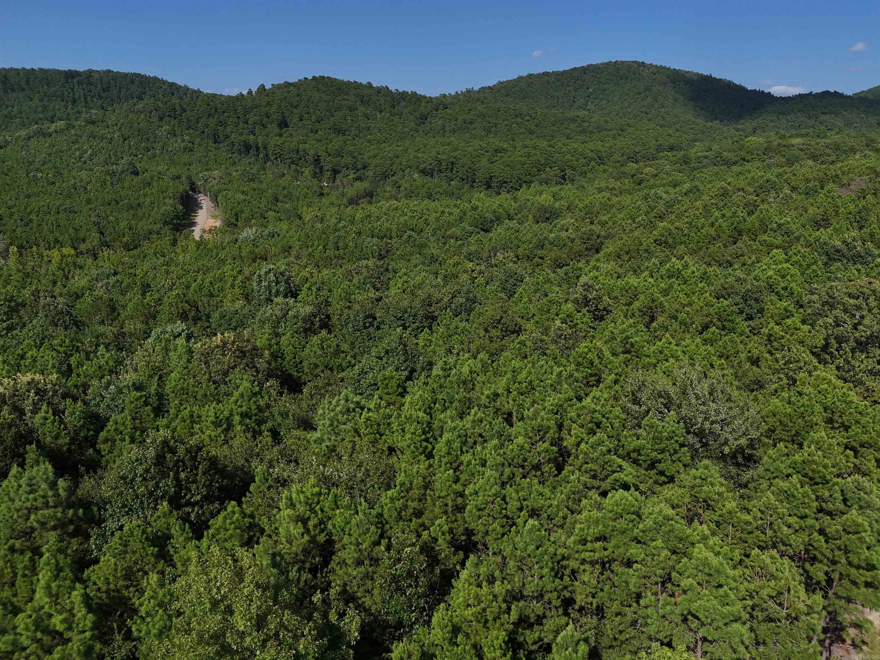 Property Photo:  Lot 10 Polk Road 78  AR 71953 