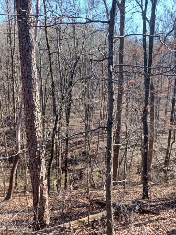 Property Photo:  311 Roberts Mill Road  TN 37343 