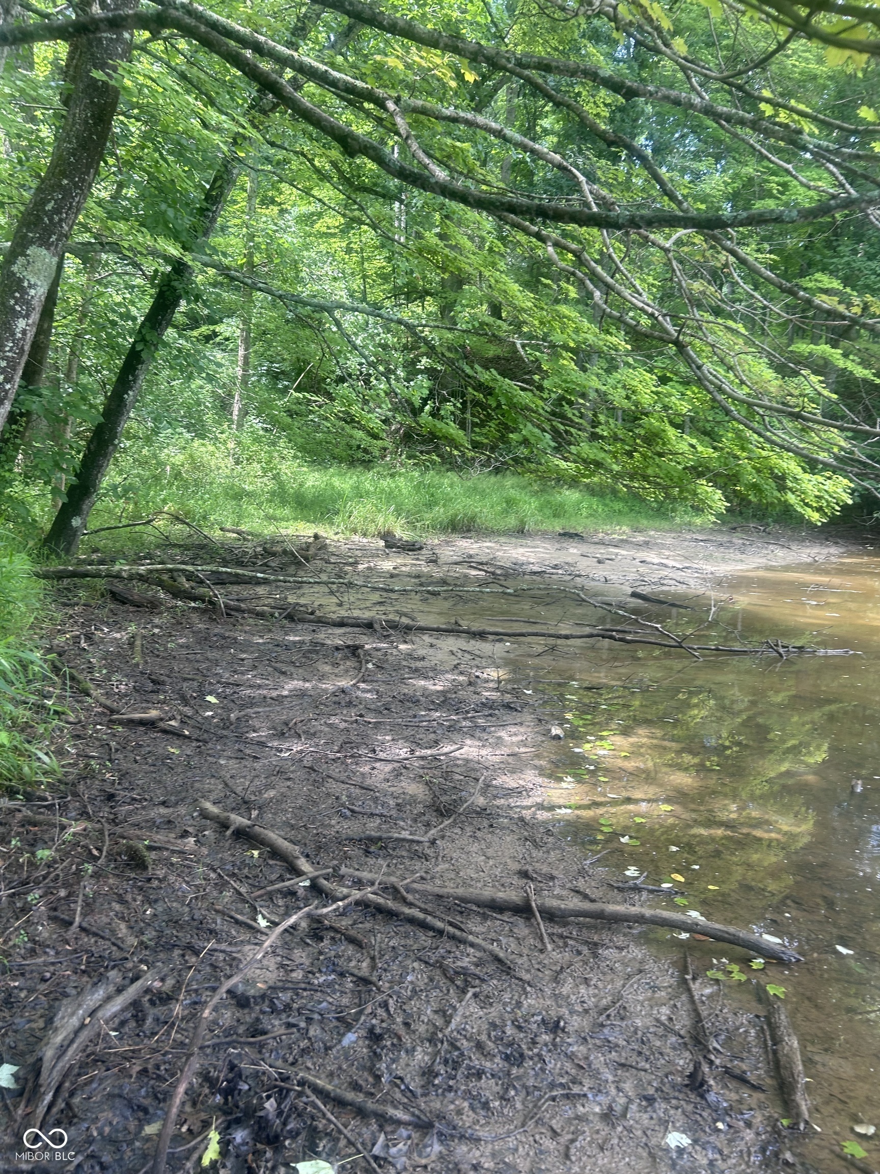 Property Photo:  1589 W Shore Drive  IN 47448 