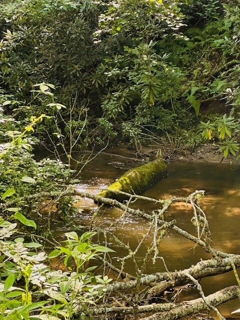 Property Photo: Lot 62 &Amp Creek Lot A, Stone Ridge Falls Subdivision NC 28906