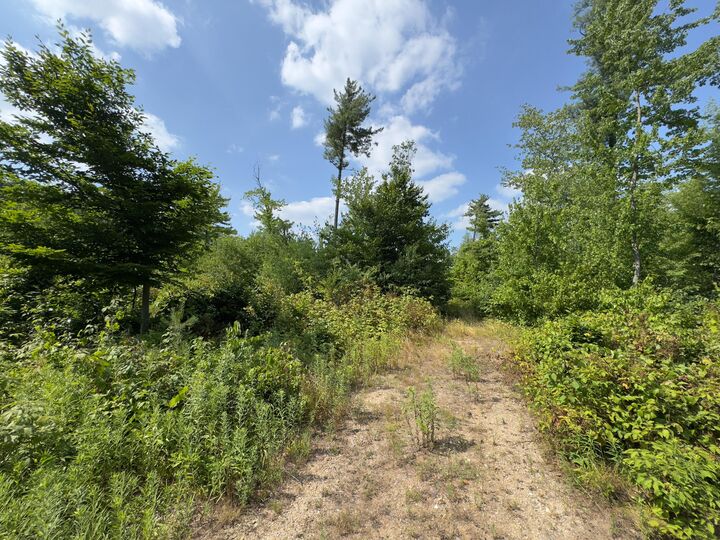 Property Photo: 0 Johnson Street MI 49417
