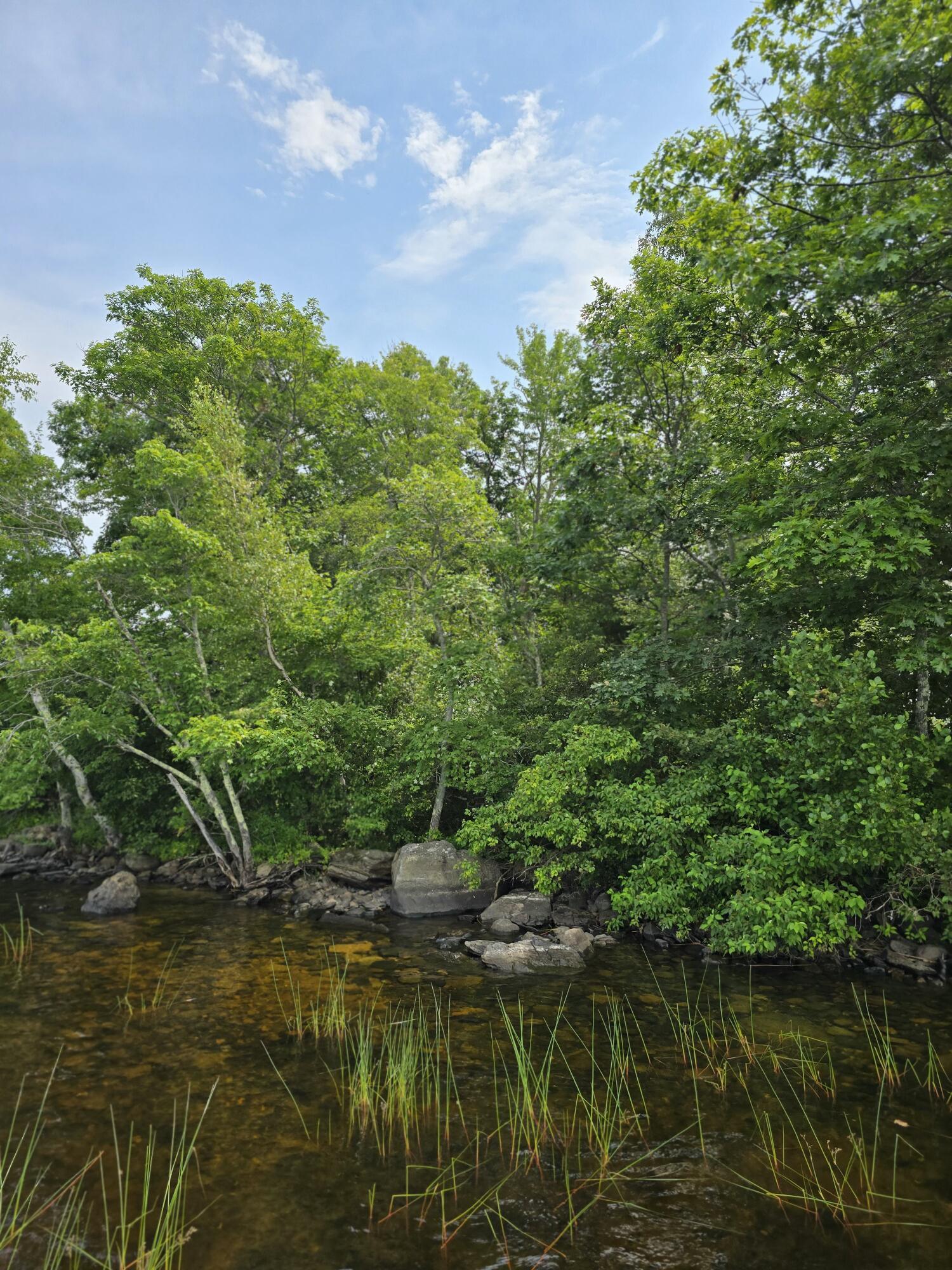 Property Photo: 00 Mouse Island ME 04468