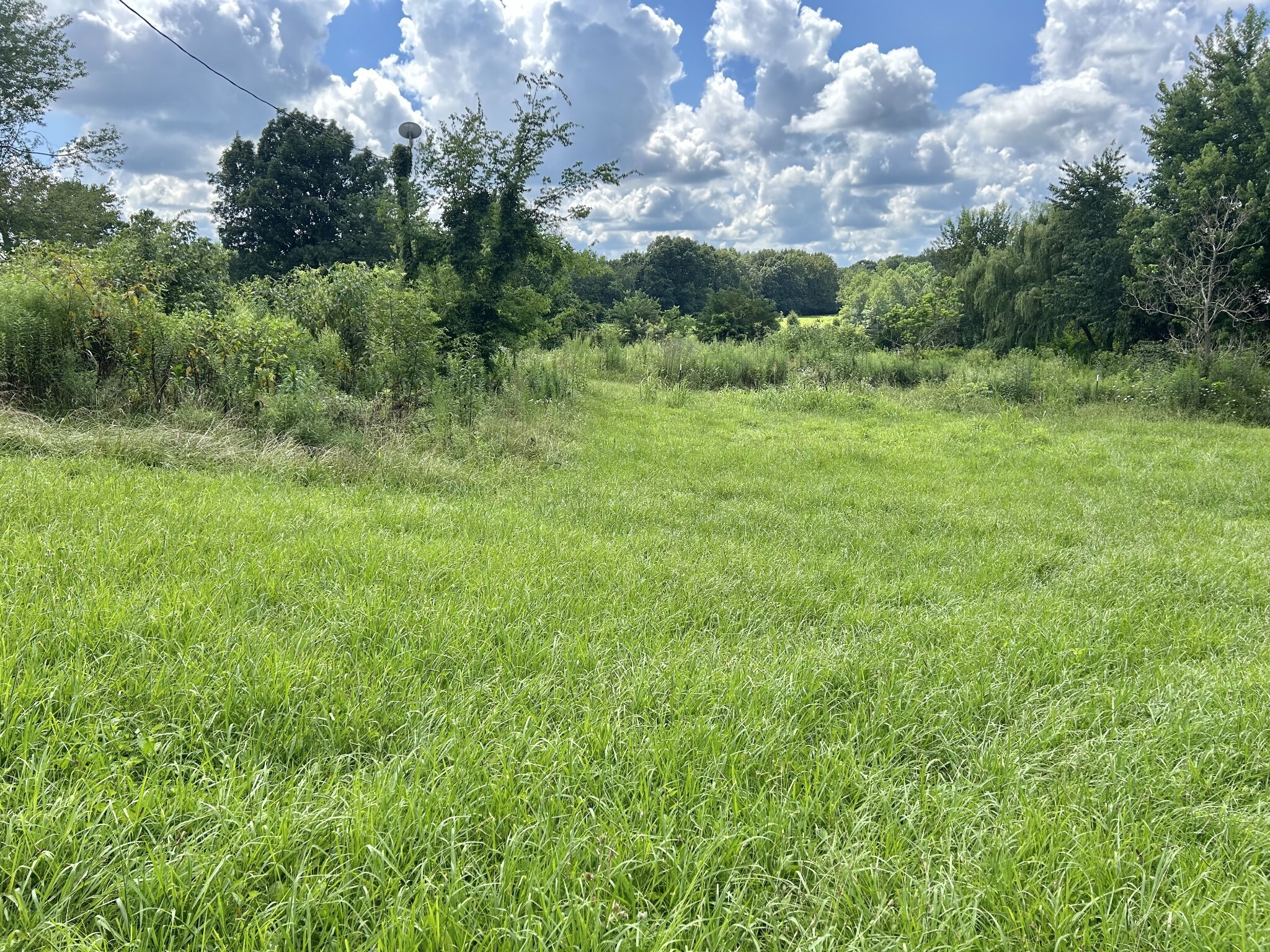 Property Photo: 3773 Griffin Rd TN 37352