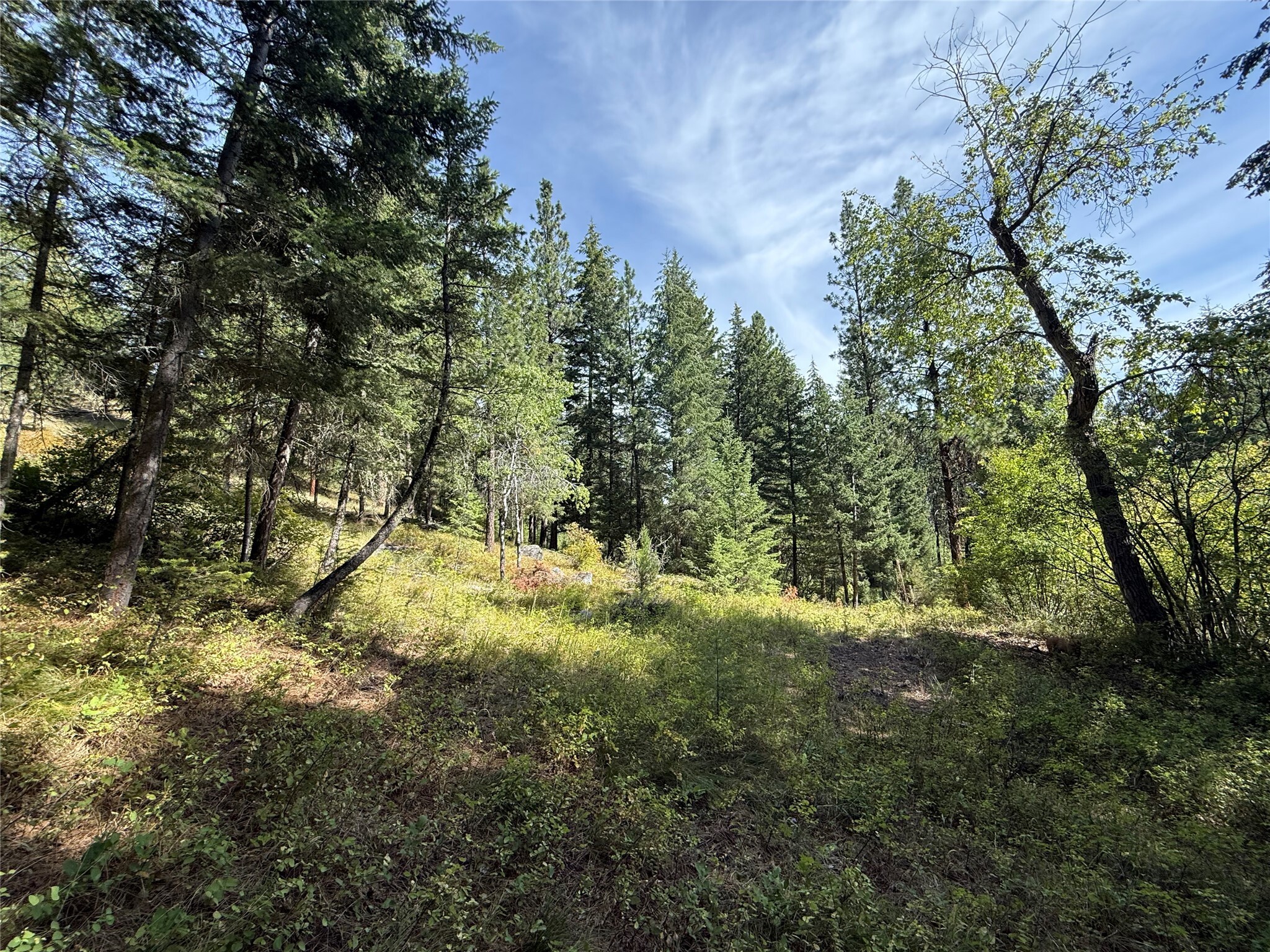 Property Photo: Nkn Wyant Lane MT 59840