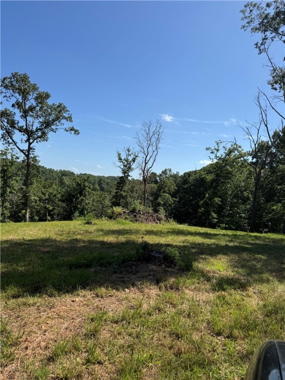 Property Photo: 0 Tbd Beaver Hollow Road AR 72732