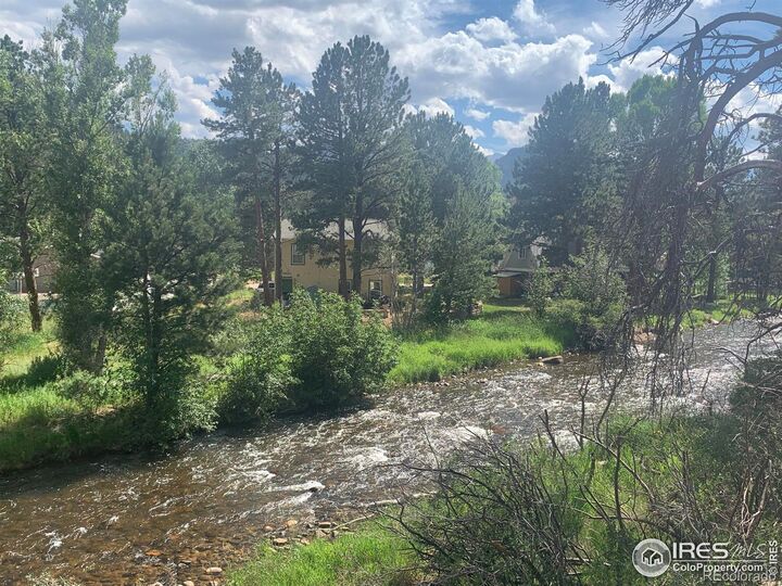 Property Photo:  465 Pine River Lane  CO 80517 
