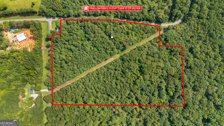 Property Photo:  0 Napier Mill Road  GA 31024 