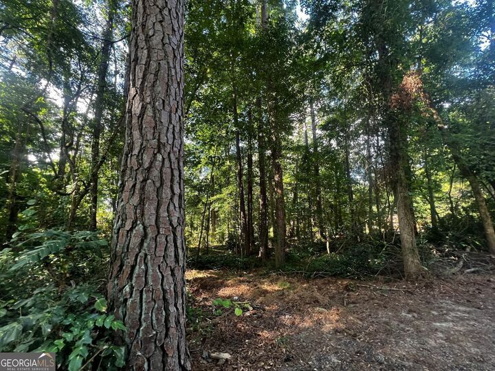 Property Photo: 4074 Panola Road GA 30038