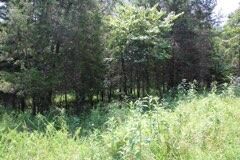 Property Photo: 000000 Wesley Chapel Road KY 42501