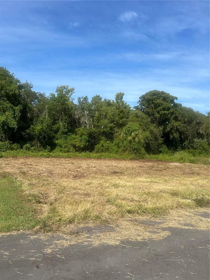 Property Photo:  Redtree Drive  FL 34748 