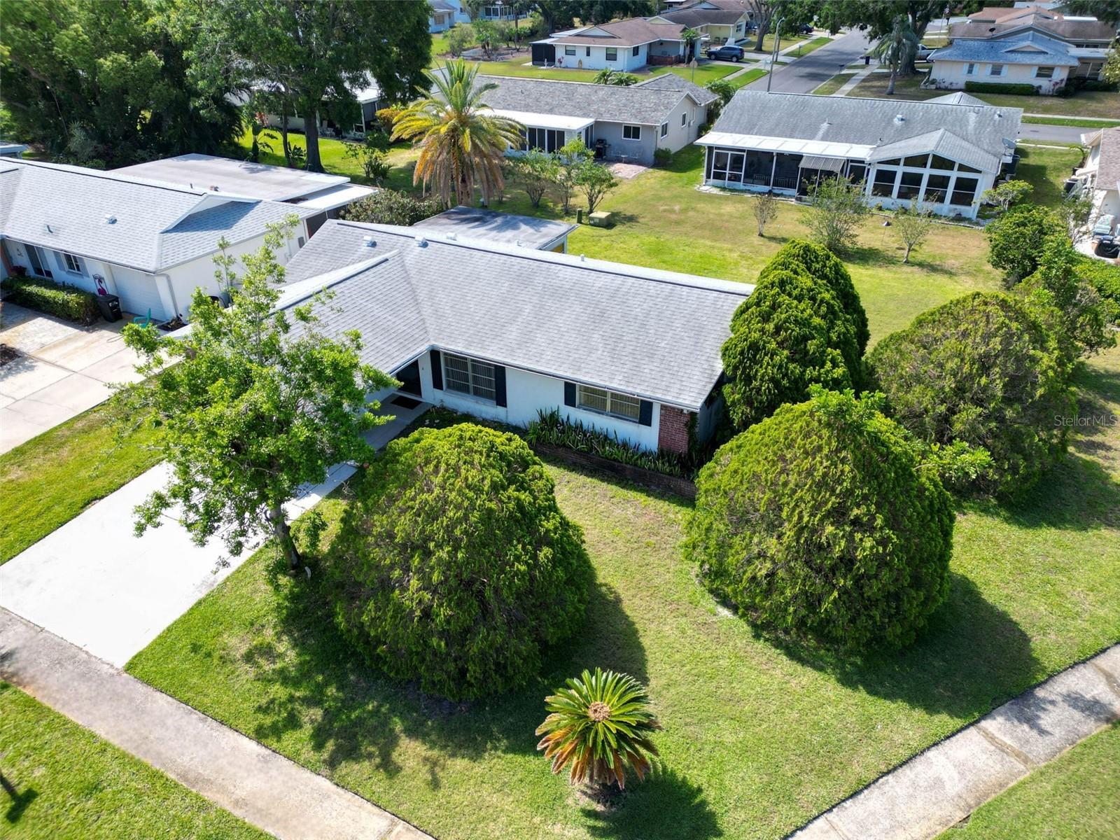 Property Photo: 2950 Curling Court FL 34684