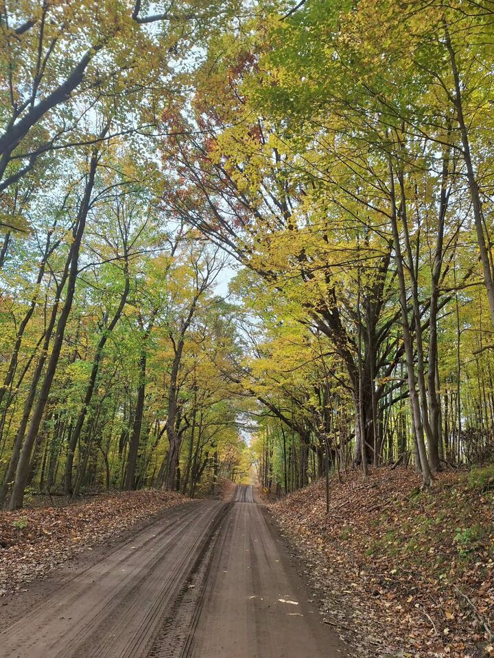 Property Photo: 9308 W Guernsey Lake Road Road MI 49046