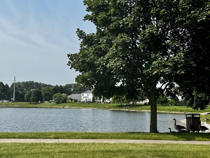 Property Photo: 10927 Braemar Parkway E IL 60142