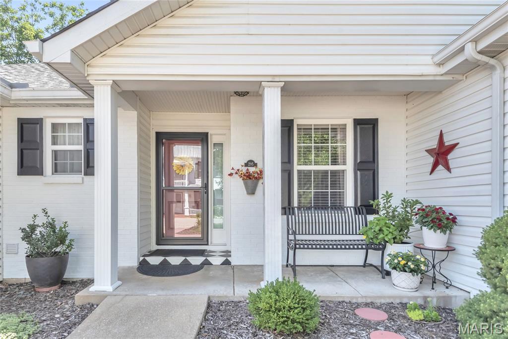 Property Photo: 295 Lower Street MO 63332