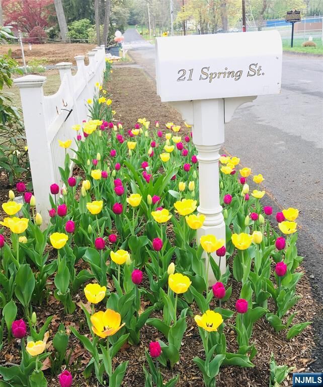 21 Spring Street  Chatham Township NJ 07928 photo