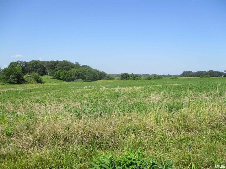 Property Photo: 0000 Bean Road IL 62897