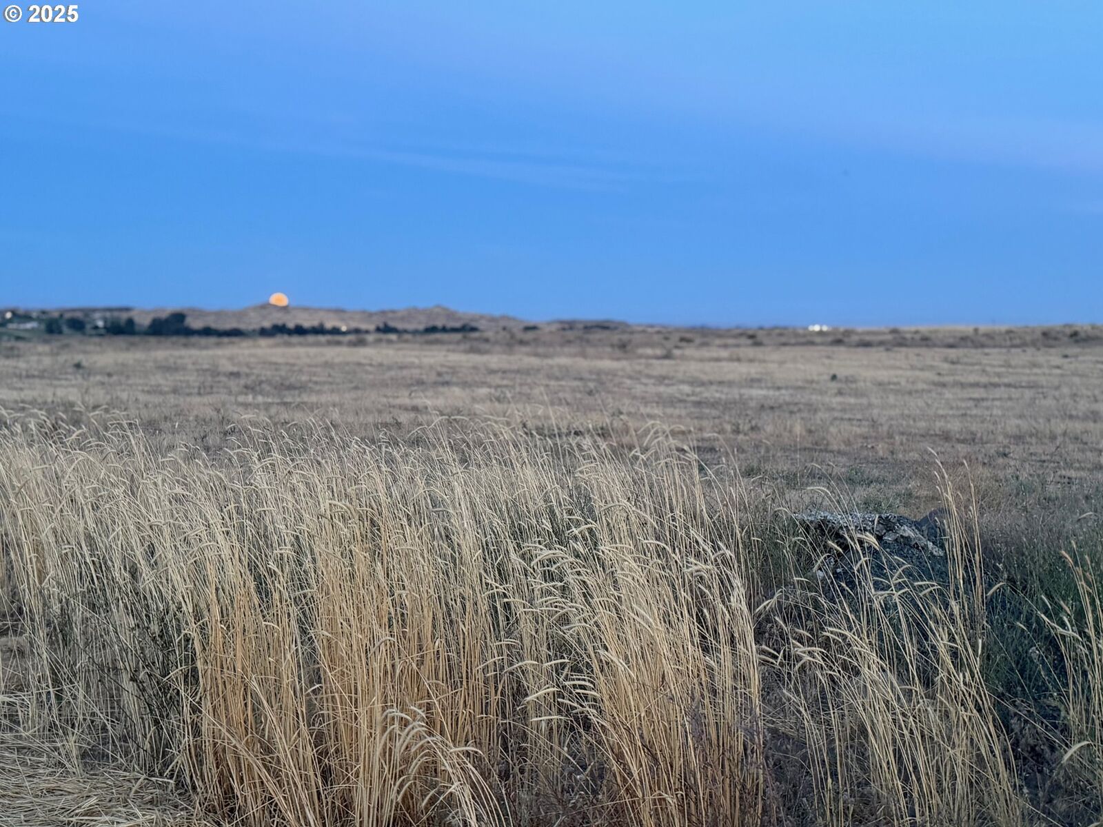 Property Photo: 5N2820-00-02205 OR 97882