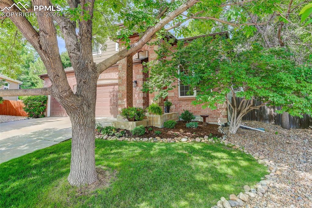 Property Photo:  8133 Spikegrass Court  CO 80108 